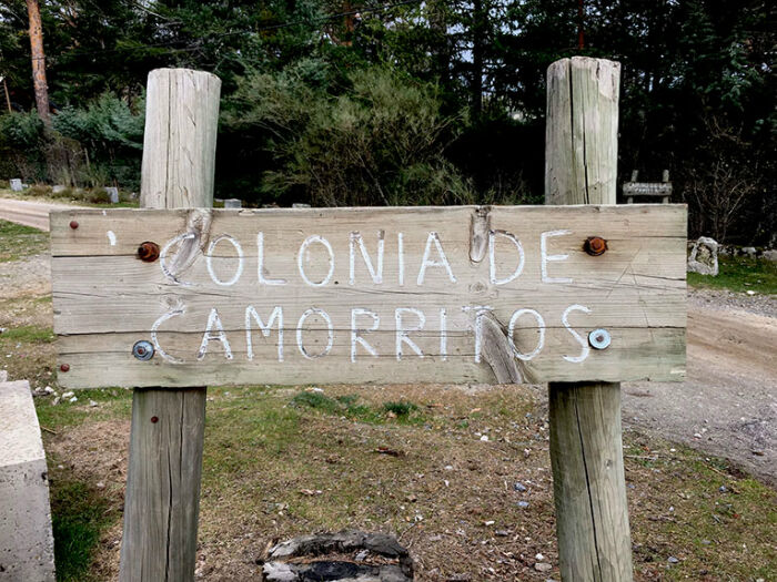 colonia de camorritos central de reservas sierra del guadarrama 1